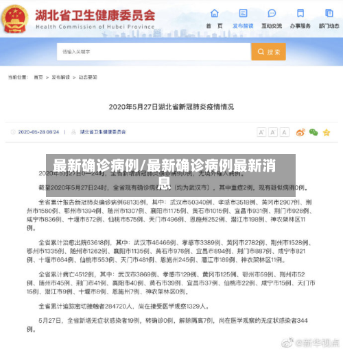 最新确诊病例/最新确诊病例最新消息