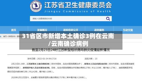 31省区市新增本土确诊3例在云南/云南确诊病例