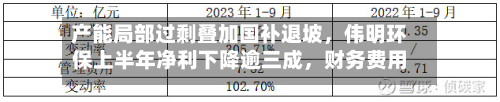 产能局部过剩叠加国补退坡	，伟明环保上半年净利下降逾三成，财务费用同比激增-第2张图片