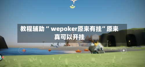 教程辅助“ wepoker原来有挂”原来真可以开挂-第2张图片