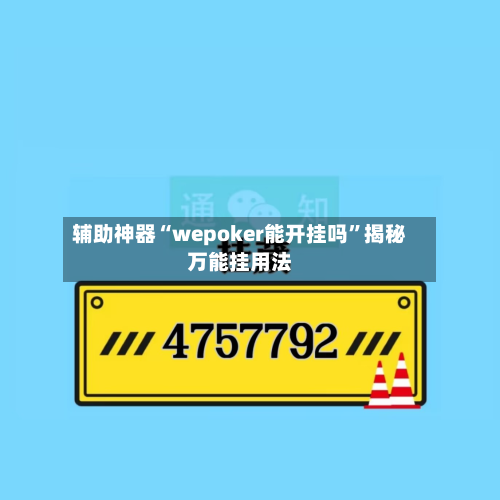 辅助神器“wepoker能开挂吗	”揭秘万能挂用法-第3张图片