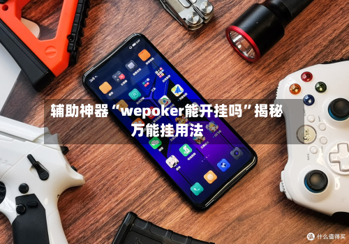 辅助神器“wepoker能开挂吗”揭秘万能挂用法-第2张图片