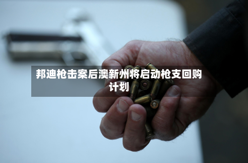 邦迪枪击案后澳新州将启动枪支回购计划