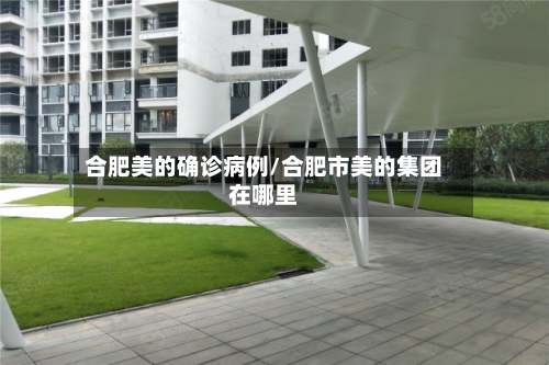 合肥美的确诊病例/合肥市美的集团在哪里