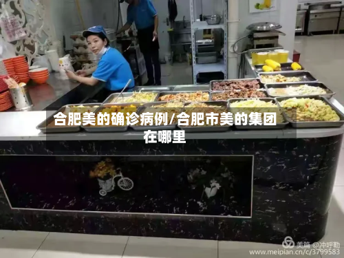 合肥美的确诊病例/合肥市美的集团在哪里-第3张图片
