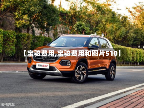 【宝骏费用,宝骏费用和图片510】-第2张图片