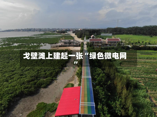 戈壁滩上建起一张“绿色微电网”-第2张图片