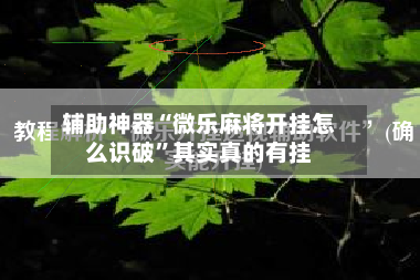 辅助神器“微乐麻将开挂怎么识破”其实真的有挂-第3张图片