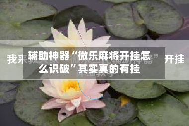 辅助神器“微乐麻将开挂怎么识破”其实真的有挂-第2张图片