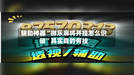 辅助神器“微乐麻将开挂怎么识破	”其实真的有挂-第1张图片