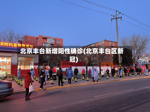 北京丰台新增阳性确诊(北京丰台区新冠)-第2张图片