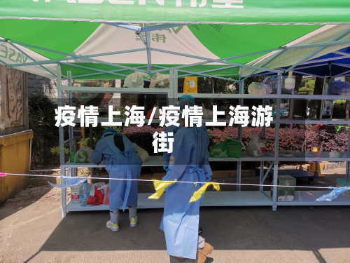 疫情上海/疫情上海游街-第2张图片