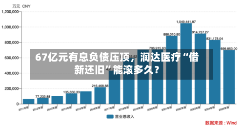 67亿元有息负债压顶，润达医疗“借新还旧”能滚多久？-第2张图片