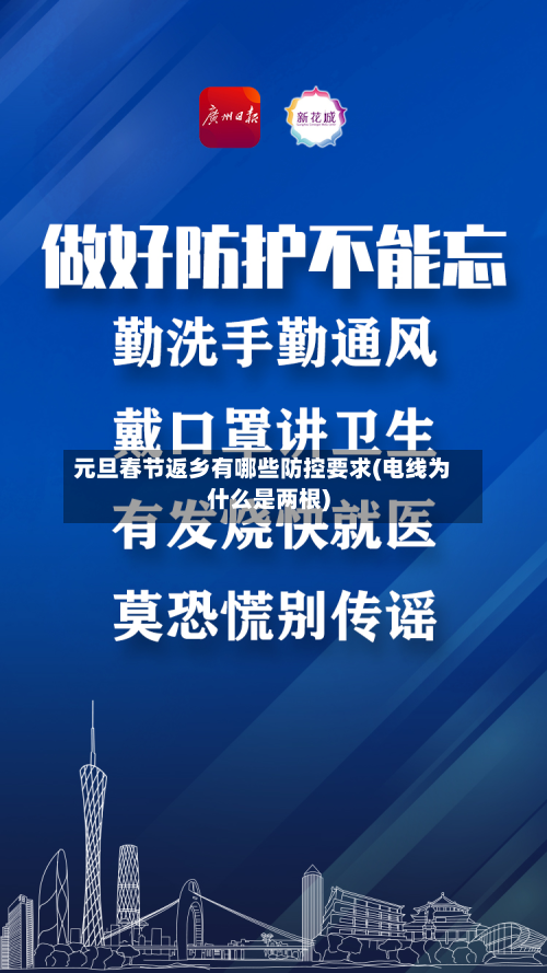 元旦春节返乡有哪些防控要求(电线为什么是两根)
