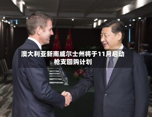 澳大利亚新南威尔士州将于11月启动枪支回购计划-第2张图片