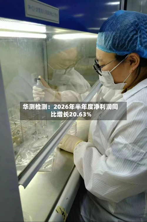 华测检测：2026年半年度净利润同比增长20.63%-第1张图片
