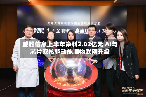 威胜信息上半年净利2.02亿元 AI与芯片双核驱动能源物联网升级-第1张图片