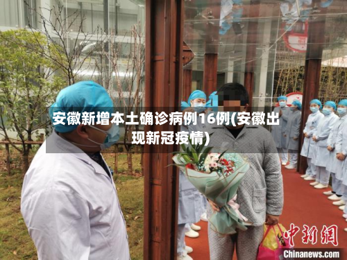 安徽新增本土确诊病例16例(安徽出现新冠疫情)