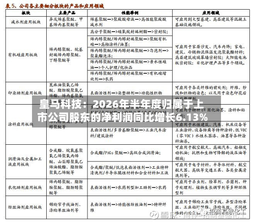 皇马科技:2026年半年度归属于上市公司股东的净利润同比增长6.13%-第1张图片