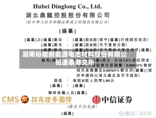 湖南裕能新能源电池材料股份有限公司递表港交所-第1张图片