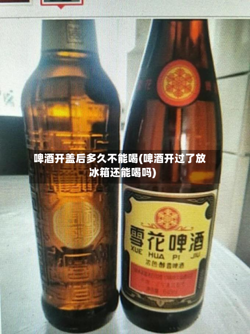 啤酒开盖后多久不能喝(啤酒开过了放冰箱还能喝吗)-第2张图片