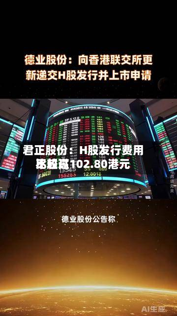 君正股份：H股发行费用比较高不超过102.80港元-第2张图片