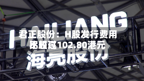 君正股份：H股发行费用比较高不超过102.80港元-第3张图片