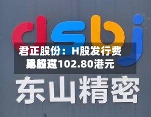 君正股份：H股发行费用比较高不超过102.80港元-第1张图片