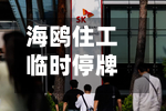 海鸥住工临时停牌！拟筹划控制权变更事项，公司已连亏三年半-第2张图片
