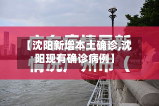 【沈阳新增本土确诊,沈阳现有确诊病例】-第2张图片