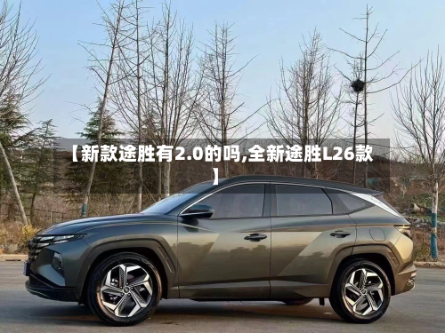 【新款途胜有2.0的吗,全新途胜L26款】
