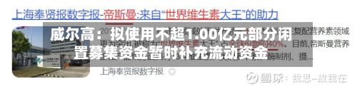 威尔高：拟使用不超1.00亿元部分闲置募集资金暂时补充流动资金-第2张图片
