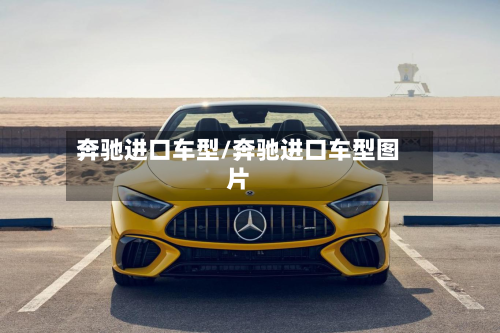 奔驰进口车型/奔驰进口车型图片-第3张图片