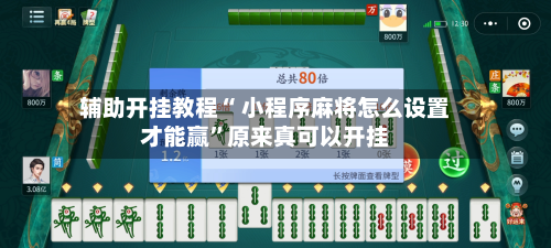 辅助开挂教程“ 小程序麻将怎么设置才能赢”原来真可以开挂-第2张图片