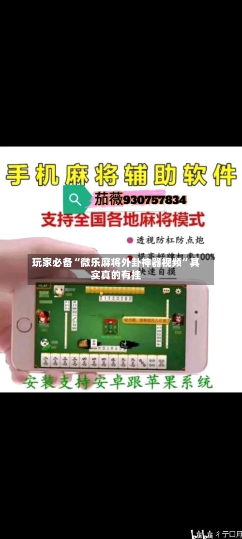 玩家必备“微乐麻将外卦神器视频”其实真的有挂
