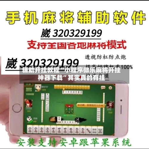 辅助开挂教程“小程序微乐麻将开挂神器下载”其实真的有挂-第2张图片