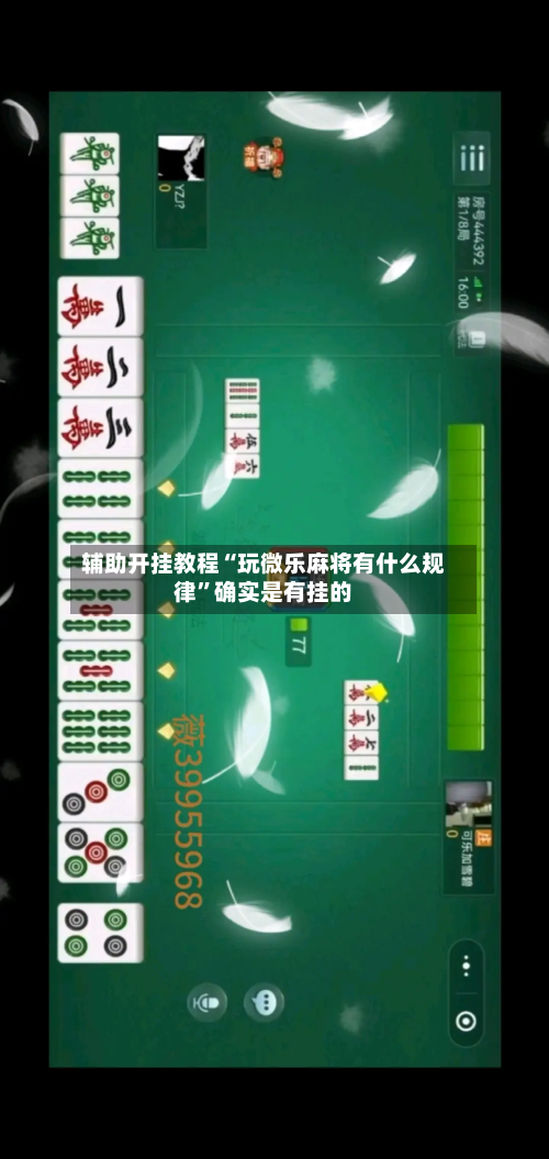 辅助开挂教程“玩微乐麻将有什么规律”确实是有挂的-第3张图片