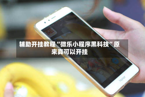 辅助开挂教程“微乐小程序黑科技”原来真可以开挂-第2张图片