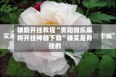辅助开挂教程“贵阳微乐麻将开挂神器下载”确实是有挂的-第2张图片