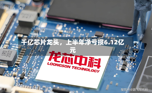 千亿芯片龙头，上半年净亏损6.12亿元-第2张图片