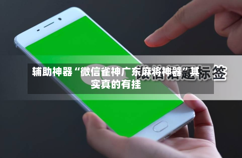 辅助神器“微信雀神广东麻将神器”其实真的有挂