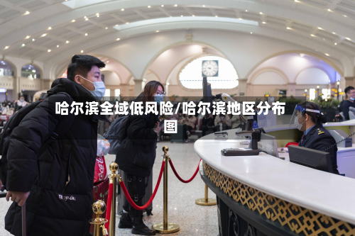 哈尔滨全域低风险/哈尔滨地区分布图
