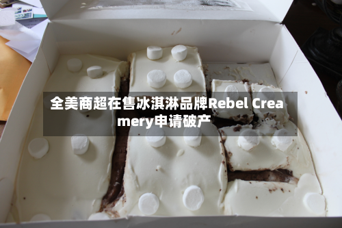 全美商超在售冰淇淋品牌Rebel Creamery申请破产-第3张图片