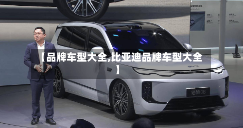 【品牌车型大全,比亚迪品牌车型大全】-第3张图片