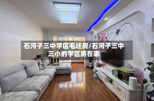 石河子三中学区毛坯房/石河子三中三小的学区房在哪-第2张图片