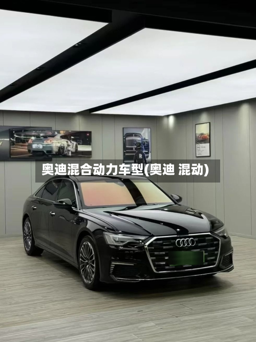 奥迪混合动力车型(奥迪 混动)-第2张图片