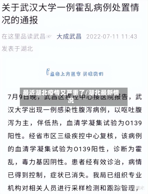 最近湖北疫情又严重了/湖北最新情况-第3张图片