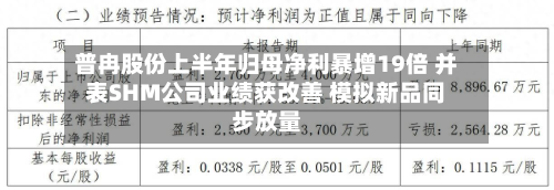 普冉股份上半年归母净利暴增19倍 并表SHM公司业绩获改善 模拟新品同步放量-第1张图片