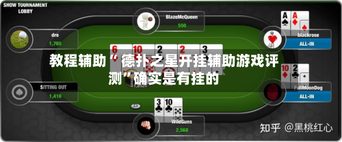 教程辅助“ 德扑之星开挂辅助游戏评测	”确实是有挂的-第2张图片
