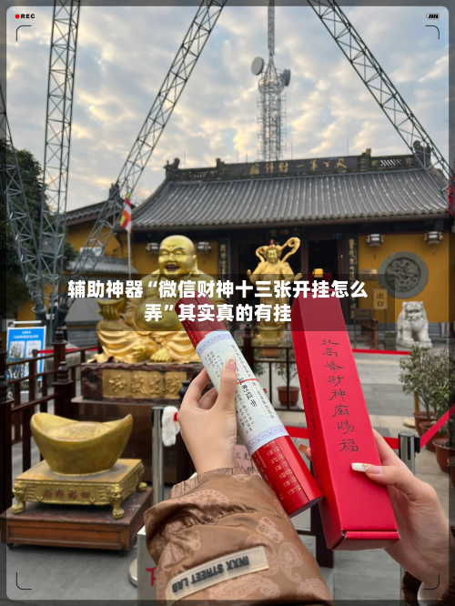辅助神器“微信财神十三张开挂怎么弄”其实真的有挂-第2张图片